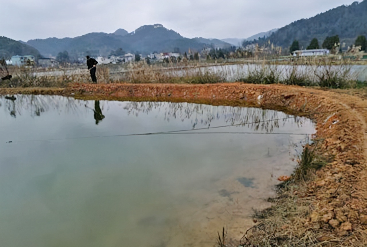 倒春寒螃蟹塘怎么办,低温寒潮鱼塘如何应对