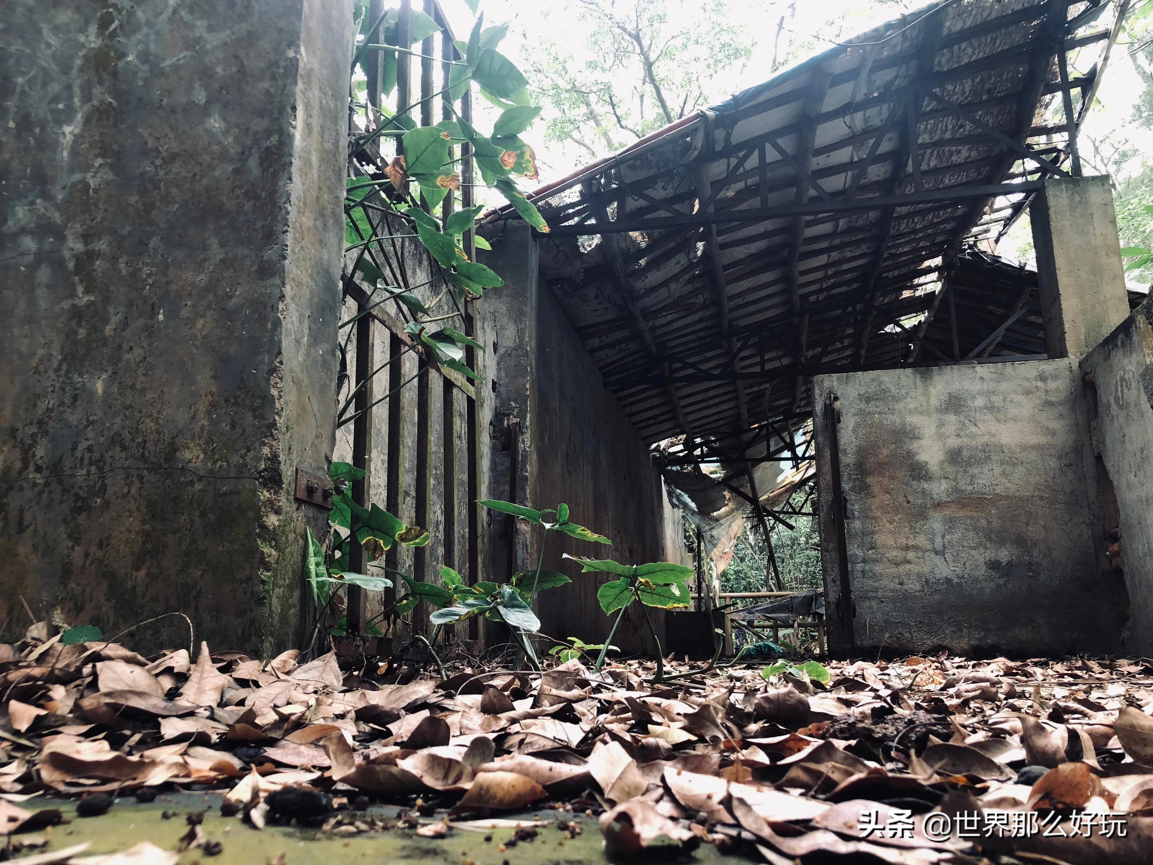 海南金牛岭动物园视频,海口金牛岭公园现在还有动物园吗