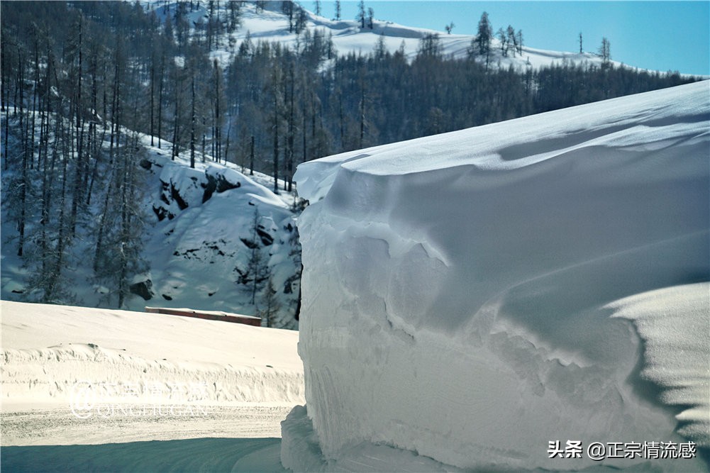诗与远方：冬游喀纳斯