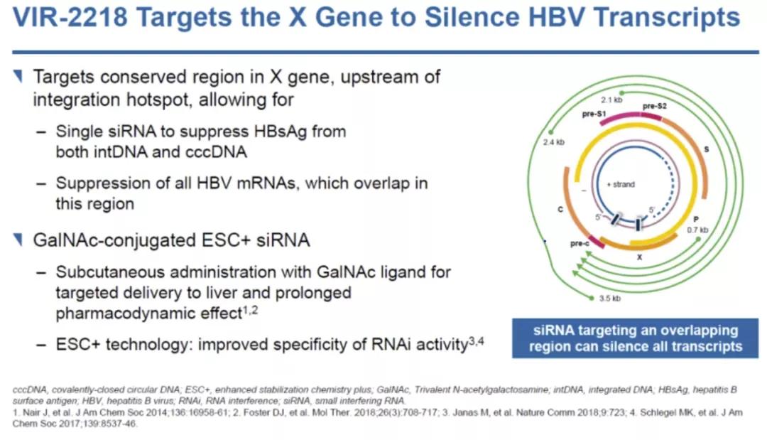 乙肝功能性治愈和彻底治愈的区别,功能性治愈乙肝还会复发吗