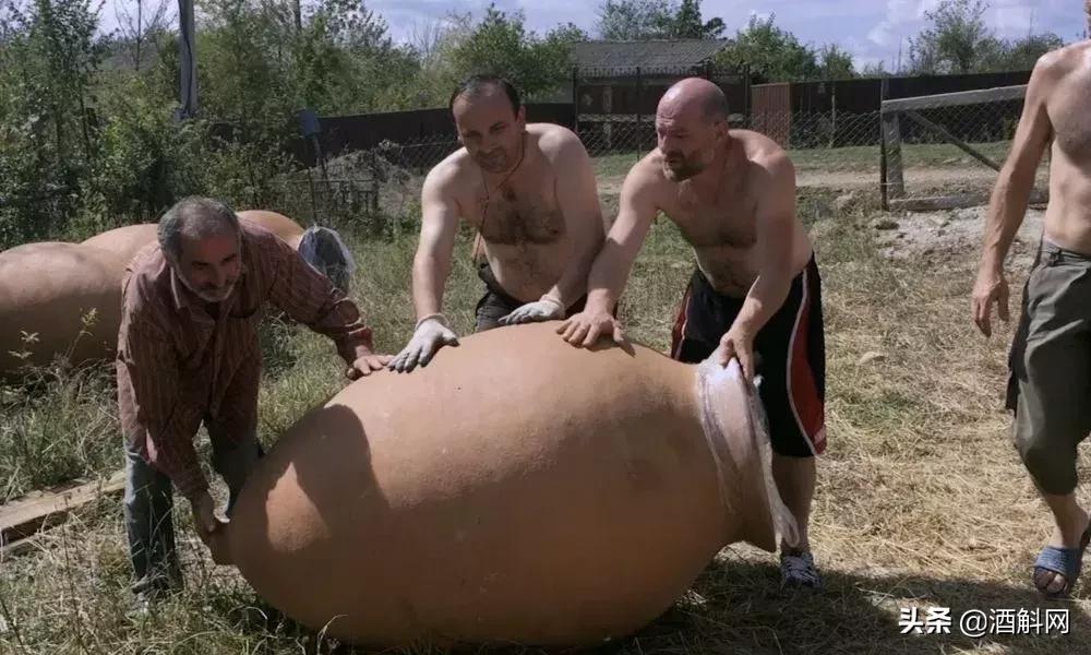 葡萄酒历史纪录片,十部顶级葡萄酒纪录片中英字幕