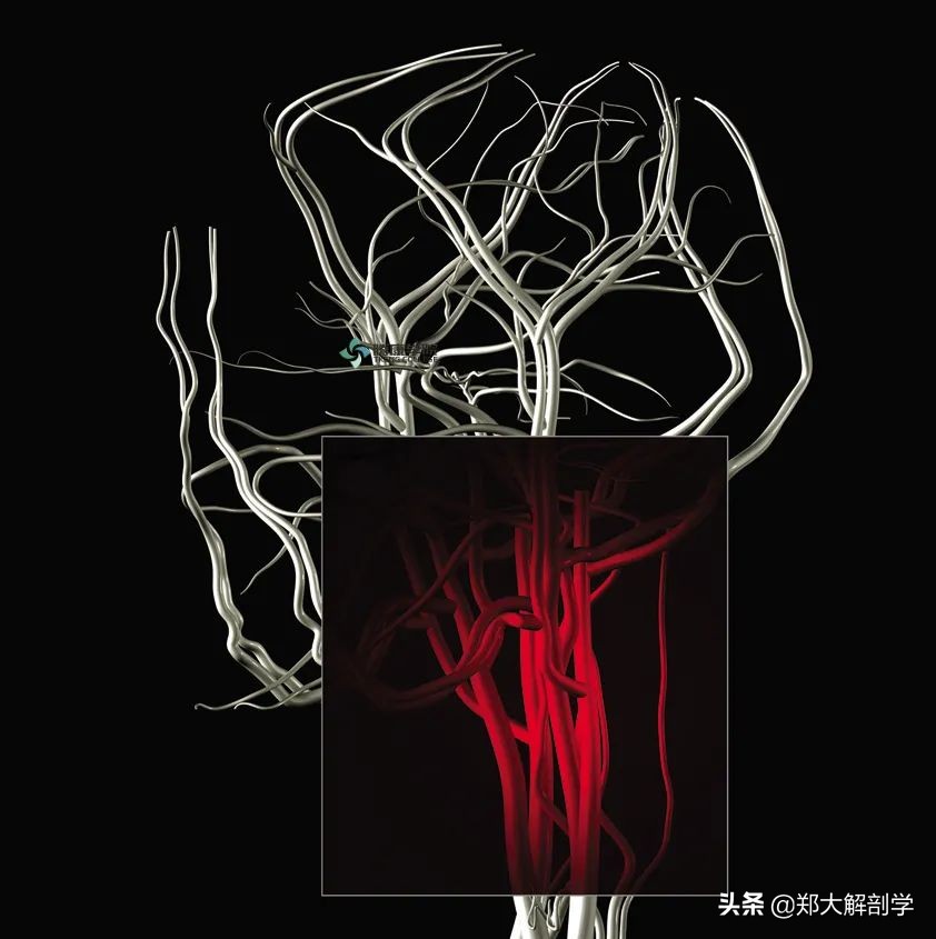 挥鞭综合症治疗,甩鞭综合征