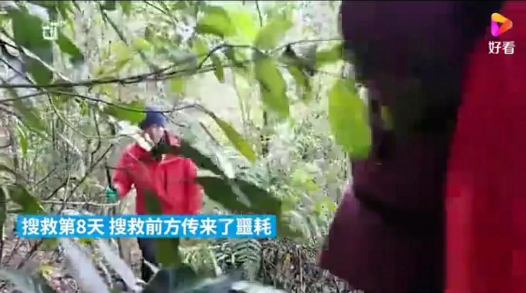 芳踪难觅濒危花！清新治愈篇：沙漠高原是吾家，豹子花的春天来了