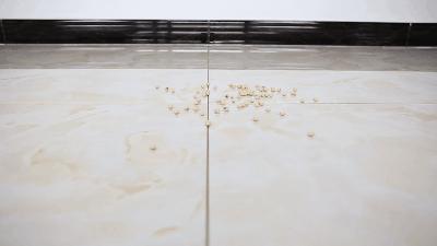 涓滆姖鍚稿皹鍣╟l1400娴嬭瘎,涓滆姖鍚稿皹鍣╟l1400鐢垫満鏈夊崠鐨勫悧