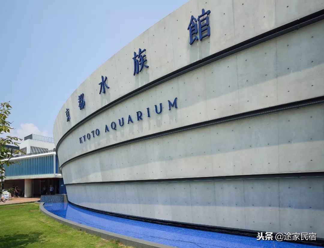 代购内幕德国,关于日本代购的问题