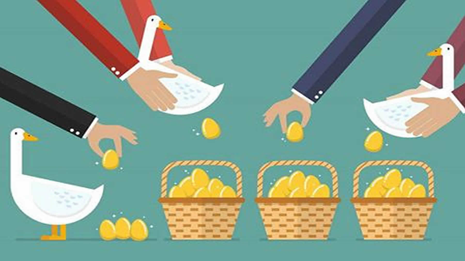 如何配置基金组合最合理,基金定投怎样选择一个好基金