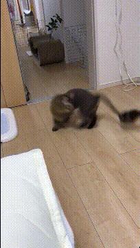 喜欢很久的小哥哥,喜欢了很久的小哥哥