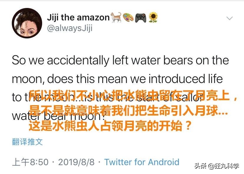 地球最强生物水熊坠落月球或幸存,地球最强的生物降临月球