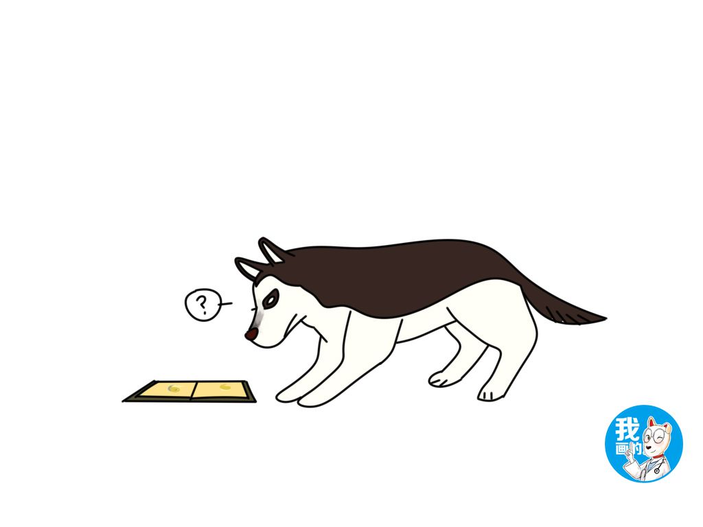 男子摘粘鼠板后续,男子用黏板捉老鼠