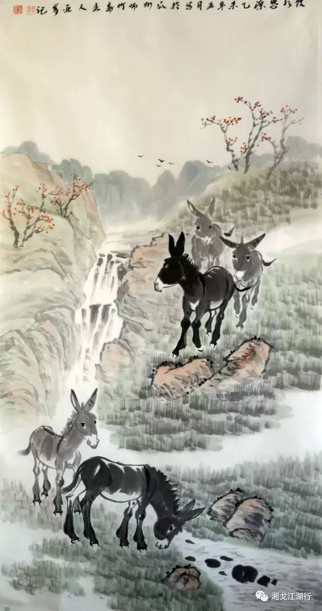 俞正军：西北“驴痴”的驴样人生