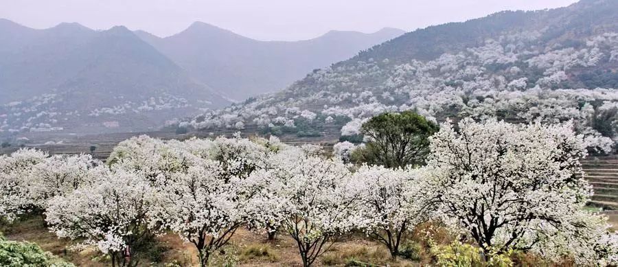 再过30天全世界都会羡慕中国的美,再过一个月全国都要羡慕昆明吗