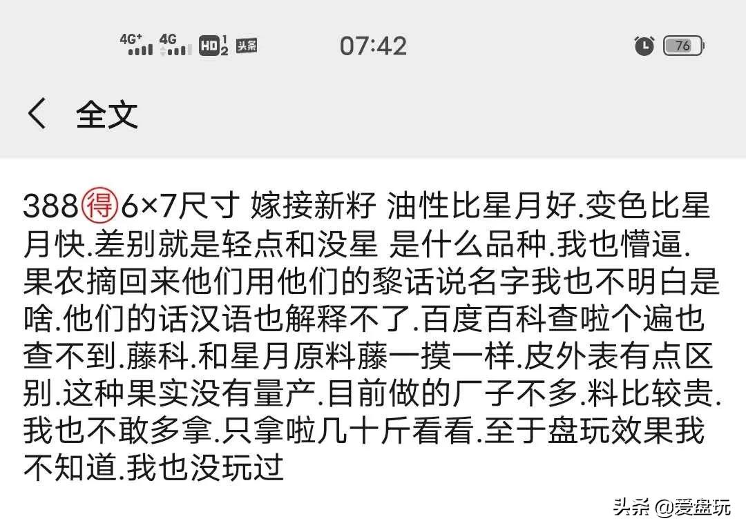 星月菩提没有星的是什么品种,星月菩提只有星没有月