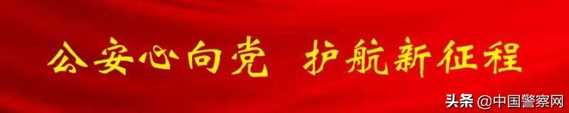 公安工作纪实掠影,公安巡处工作