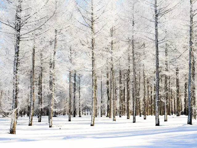 坝上屋一组坝上屋,坝上坝下什么意思