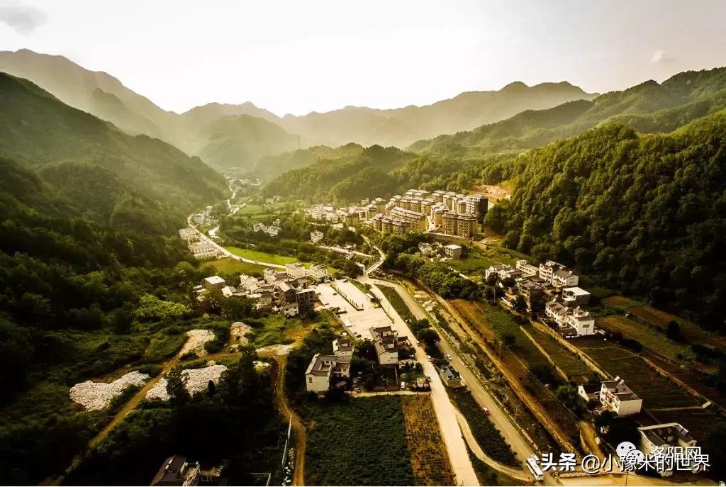 河南洛阳发布最新通知,洛阳牡丹花会向全世界发出邀请