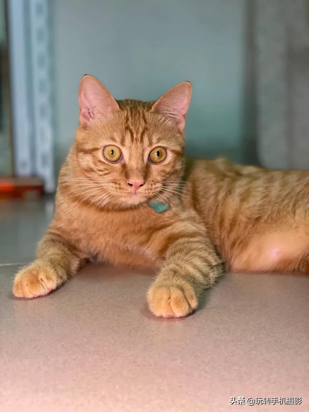 真羡慕那些不会用iPhone拍照的人