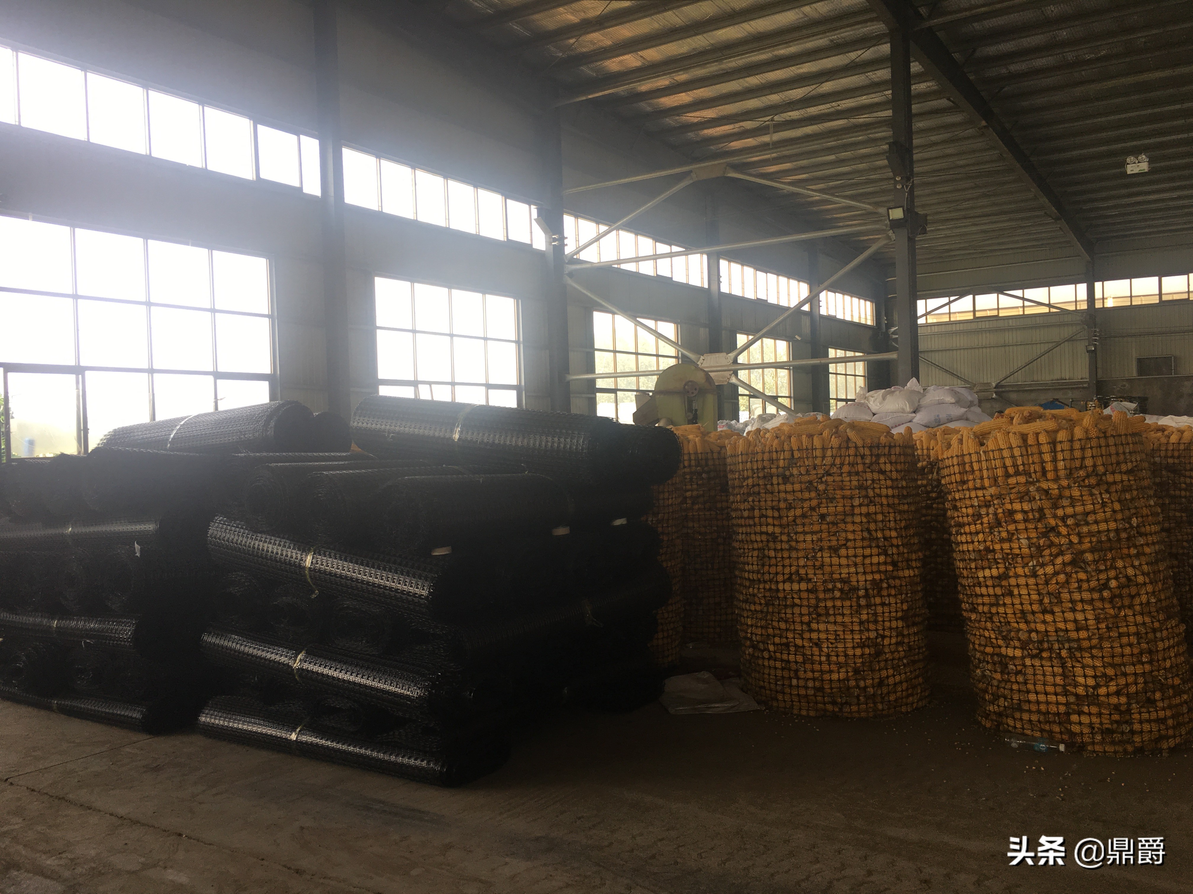 圈玉米网,特厚圈玉米专用网