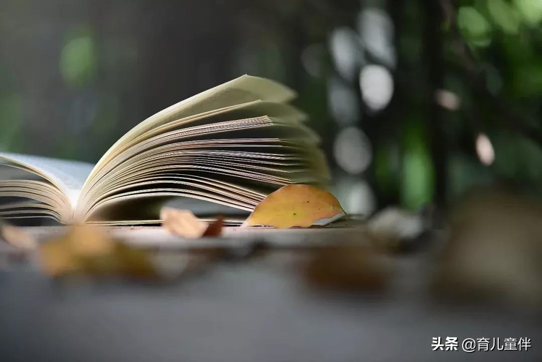 古诗词里的这些字一读就错,经典古诗词中极易读错的字