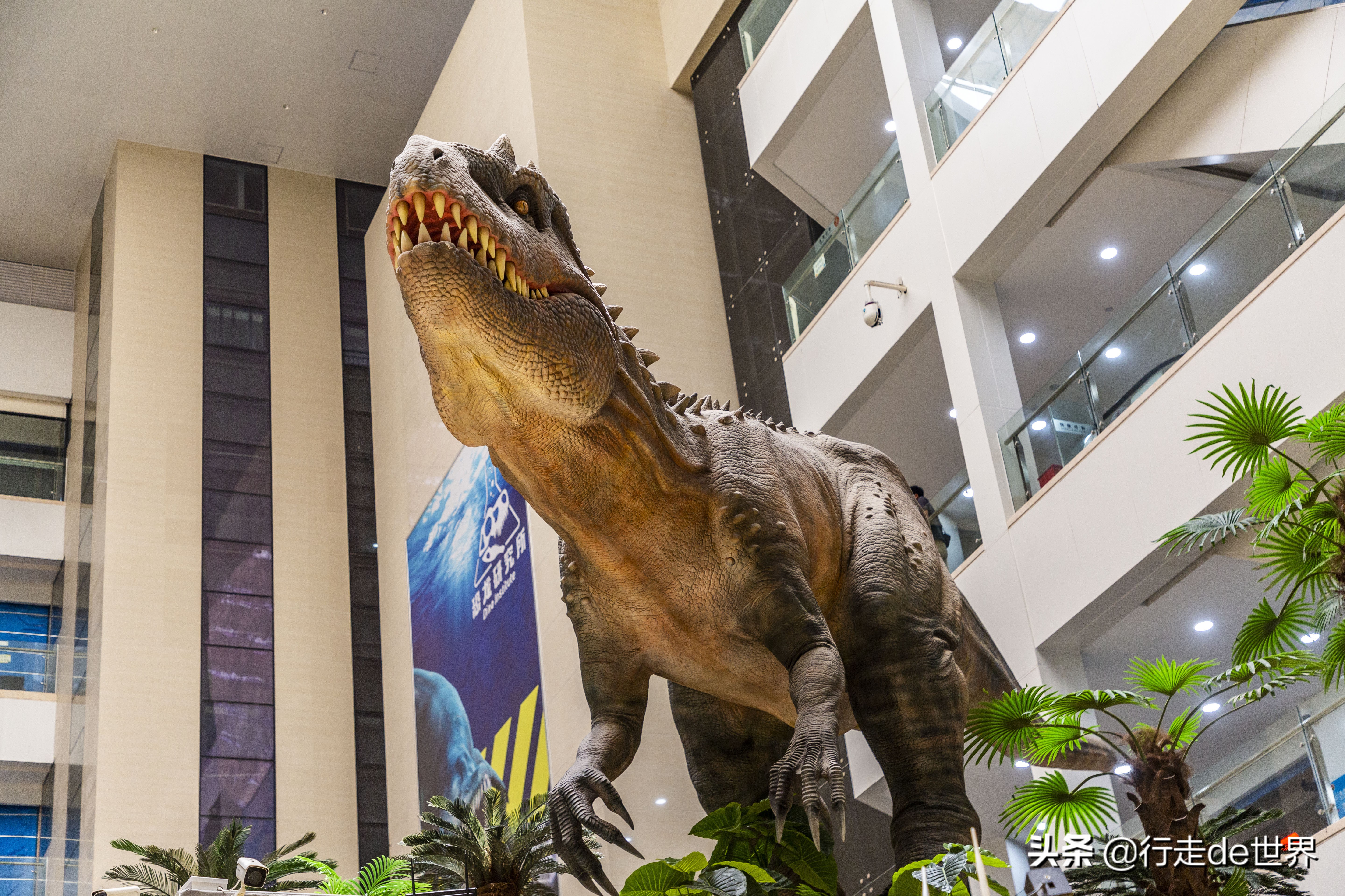 亲子乐园深圳户外,深圳最火爆的亲子乐园