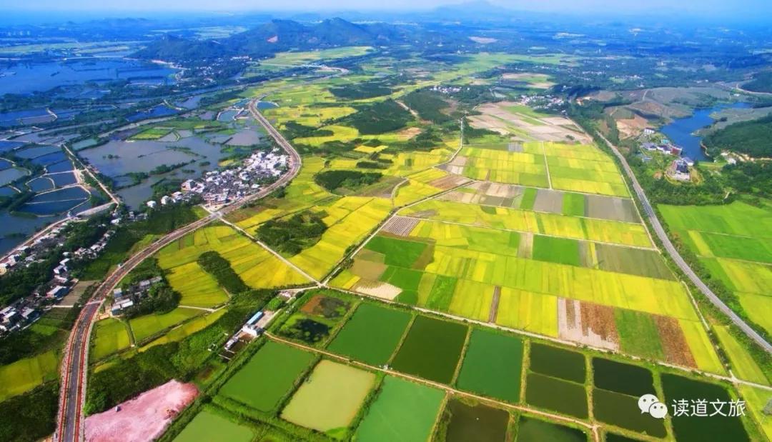 农业种植如何设计项目融资,个人投资农业项目怎么起步