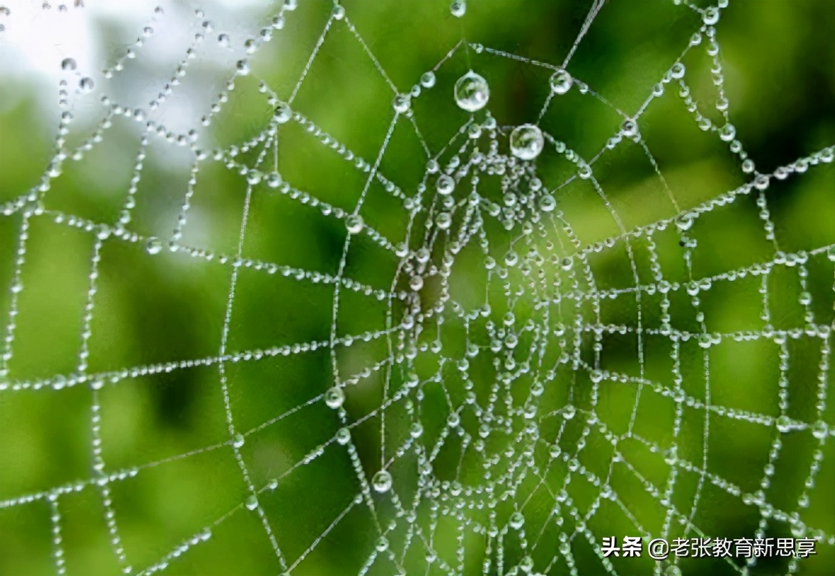 你想要什么就会被什么所牵绊,你想要什么你就会注意到什么