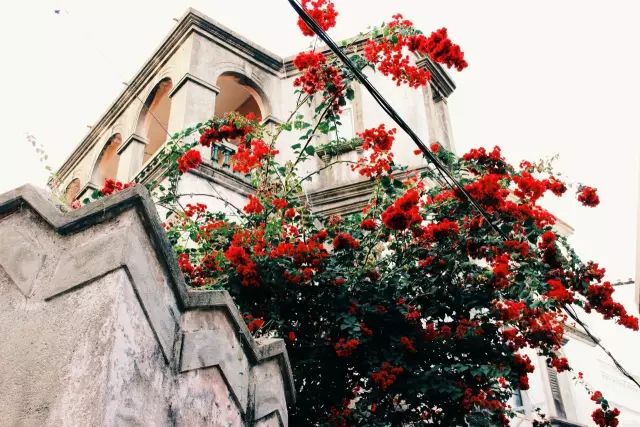 这个夏天一定要去趟厦门,夏天去厦门值得去吗