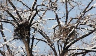 管恩锋最新品读好诗词,管恩锋