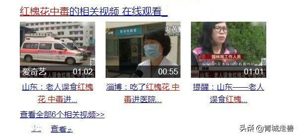 五月的槐花特别香,五月槐花香你不知道的事