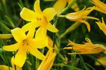 宿迁的城市亮点,江苏省宿迁市城市名片