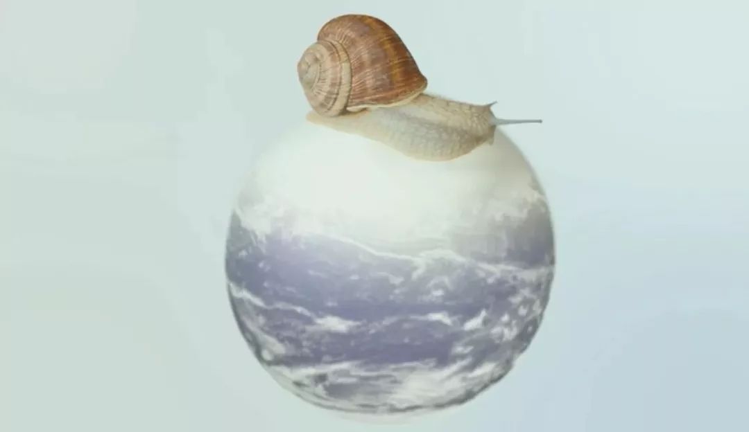 这6部电影足以秒杀大部分电影,十部必看旅行纪录片人文纪录片