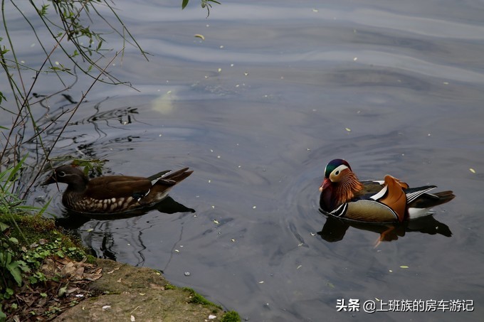 周末微旅行：秦望山麓访名校，白沙堤岸醉桃柳（第二季）