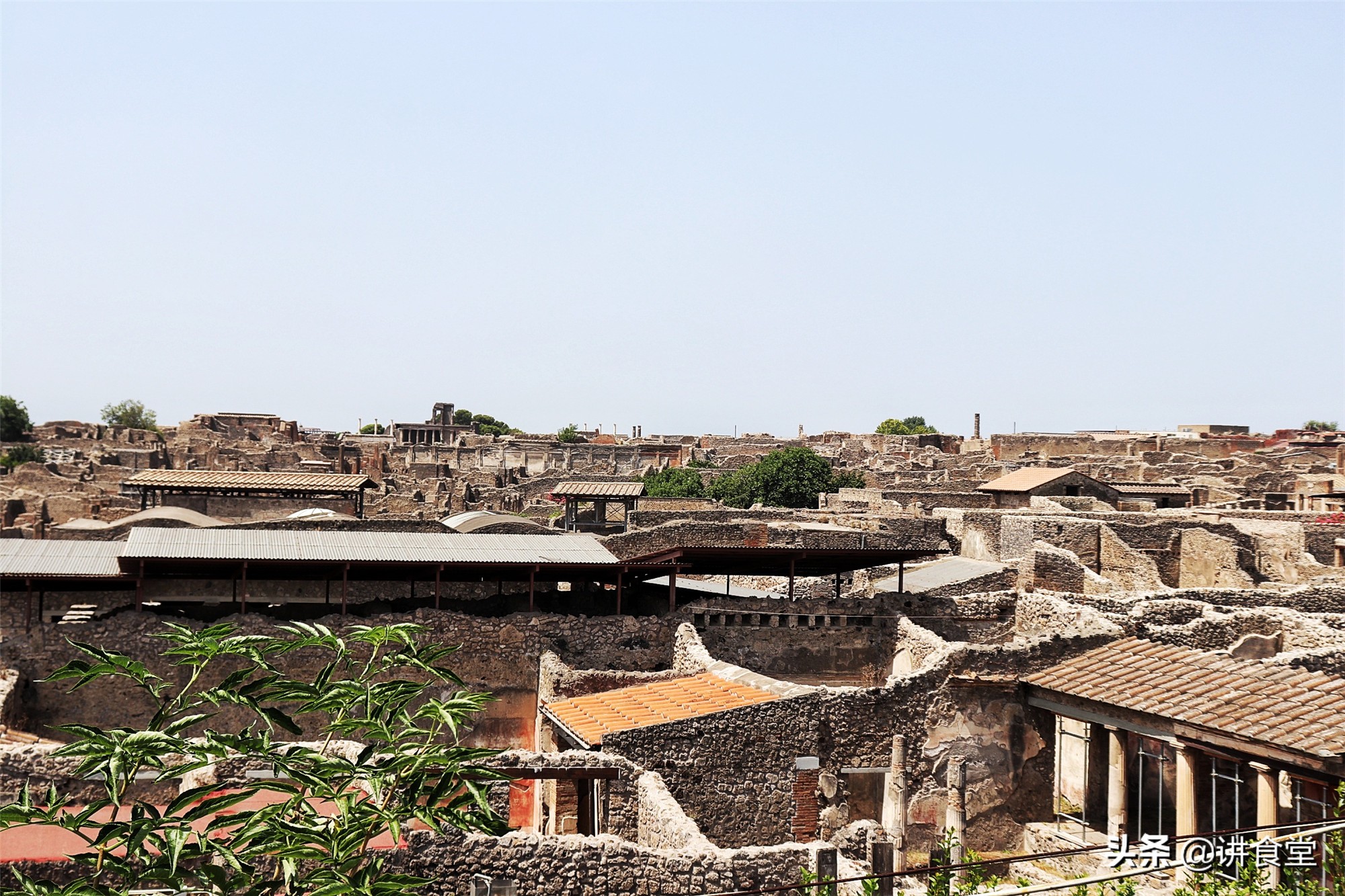 飞跃半个地球,探寻披萨最初的模样,原来可以这么简单这么好吃