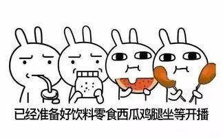 小白理财教程推荐书籍,小白理财工具入门