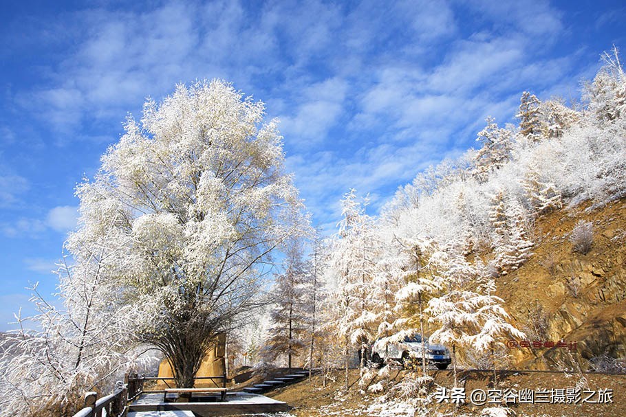 在莫尔道嘎,我遇见了最美的秋雪