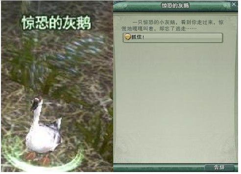 剑网三五大事件:蝶恋花大战五天五夜团长睡觉打呼万人围观!