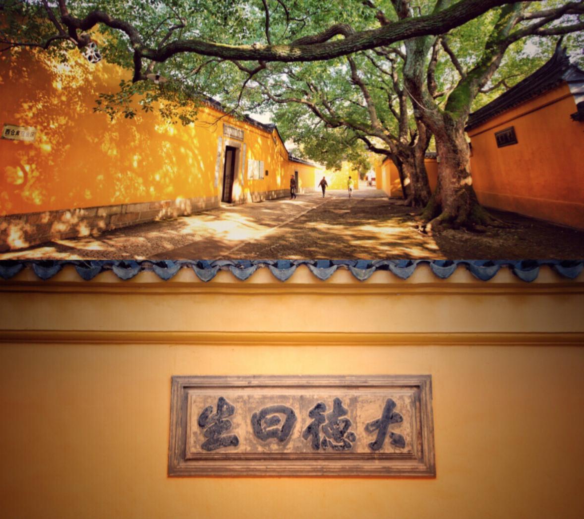 正投简历的快看过来！这里有个神仙岗位，业绩“随缘”环境绝美