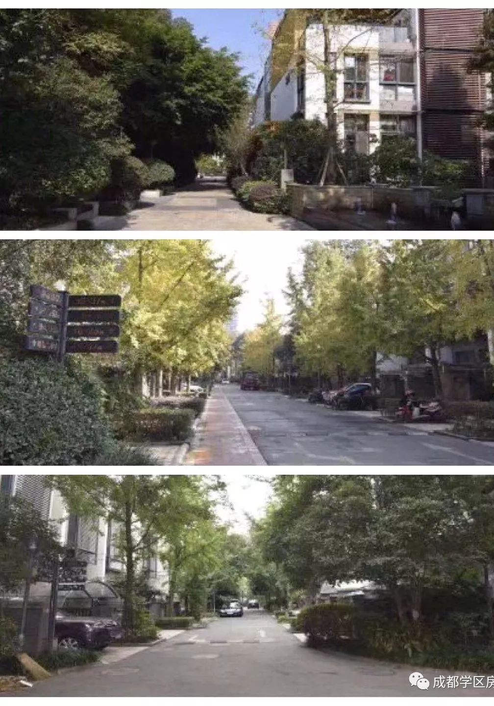 华侨城小学配套什么中学,华侨城对口小学