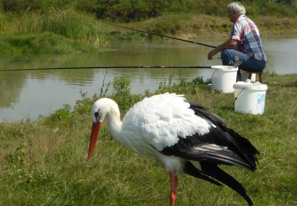 18年感人的爱情故事视频,18年的爱情故事