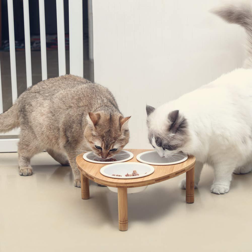 猫咪泪痕分泌物红棕色,猫咪的泪痕把毛染黄了