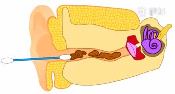 注意身体这几个地方不能洗,医生建议三处不要频繁清洗