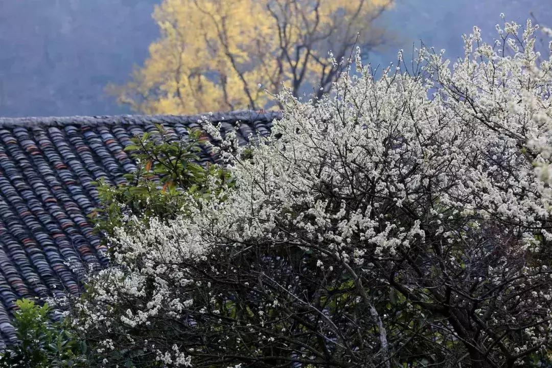 广西有座小城,广西的一座小县城