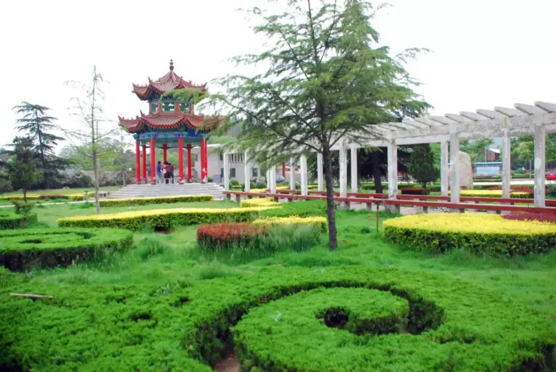 韩城市象山中学杨腾云,韩城市象山中学官网