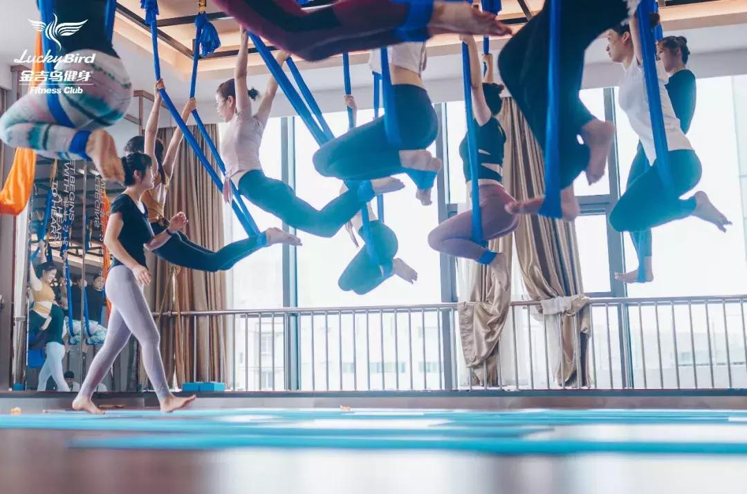 yoga从零开始,yoga的风格是什么