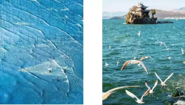 慢综艺之光拒绝剧本测评数十家“顶级”民宿，第一期就是浮云牧场