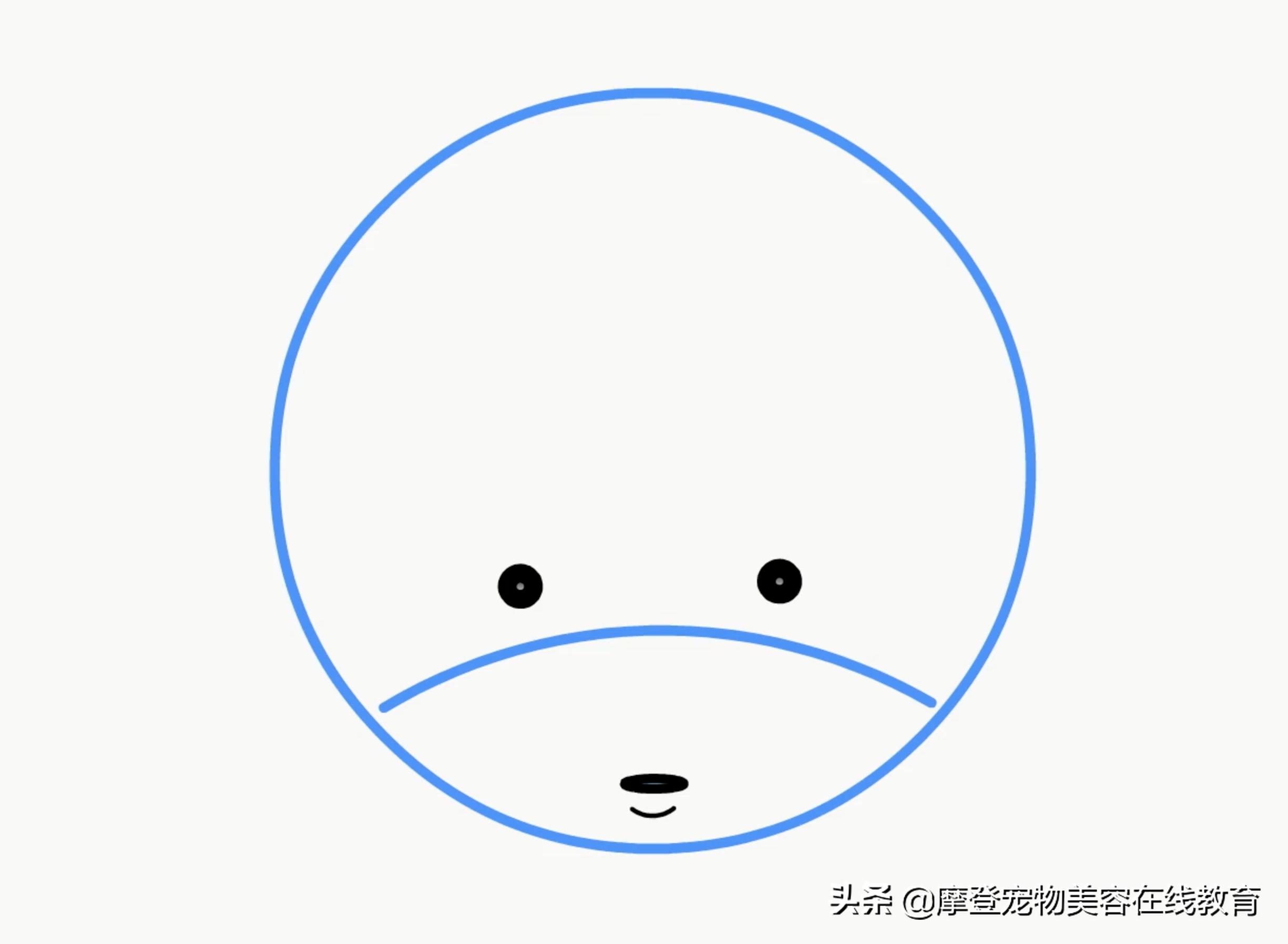 比熊宠物怎么剪毛视频教程,比熊犬剪毛视频教程