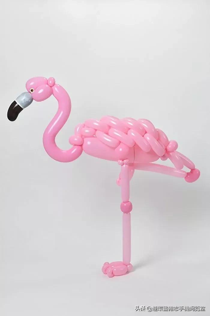 长气球的天鹅编法,天鹅气球编法