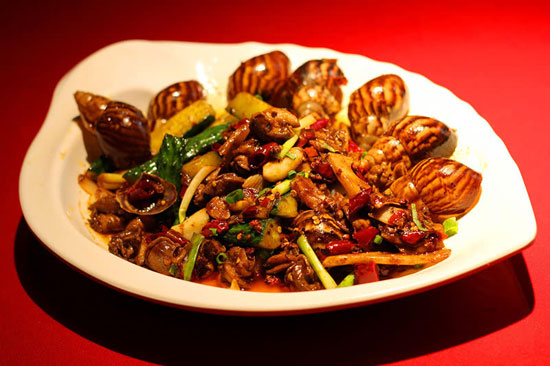 小壳维生素,小壳软磷脂