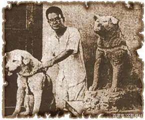 忠犬八公的故事感动的一瞬间,忠犬八公的故事温情片段