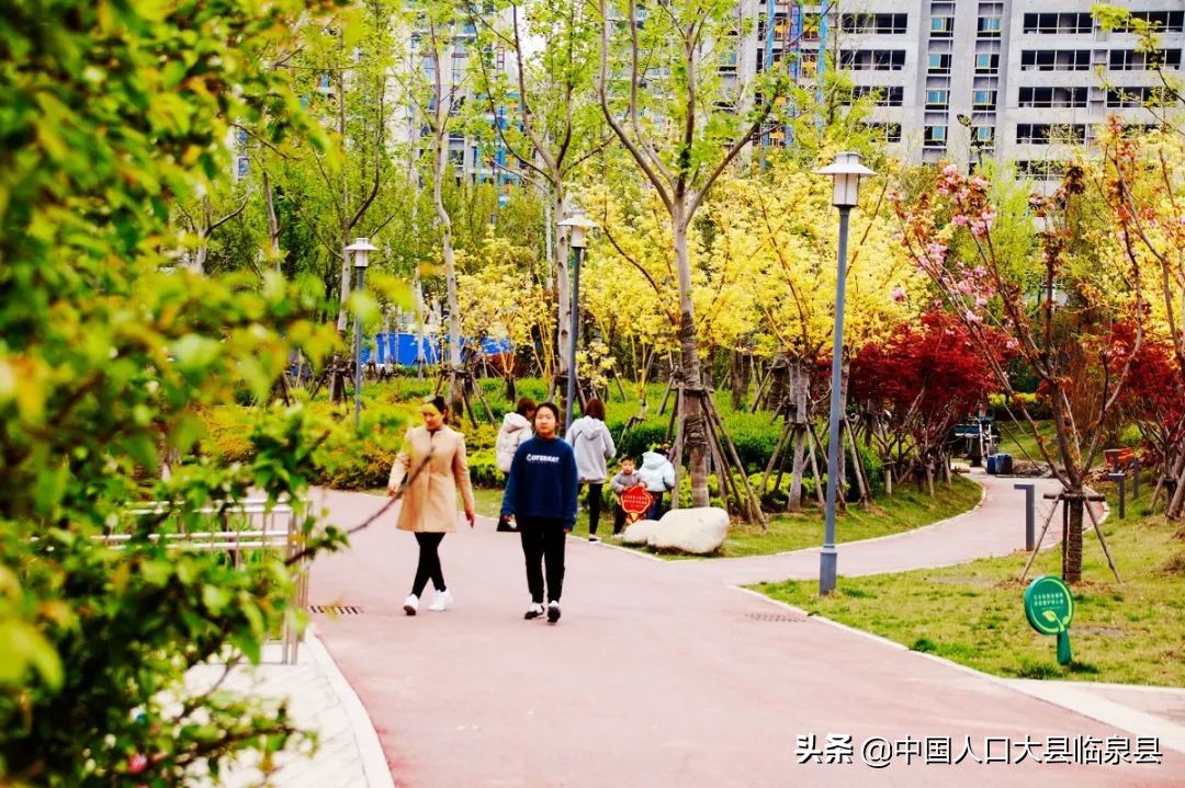 临泉县未来的样子！期待越来越好