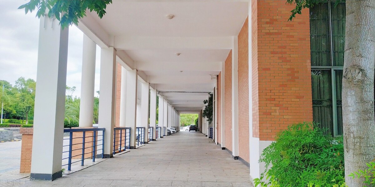 学生认可的民办本科,民办大学特色专业推荐